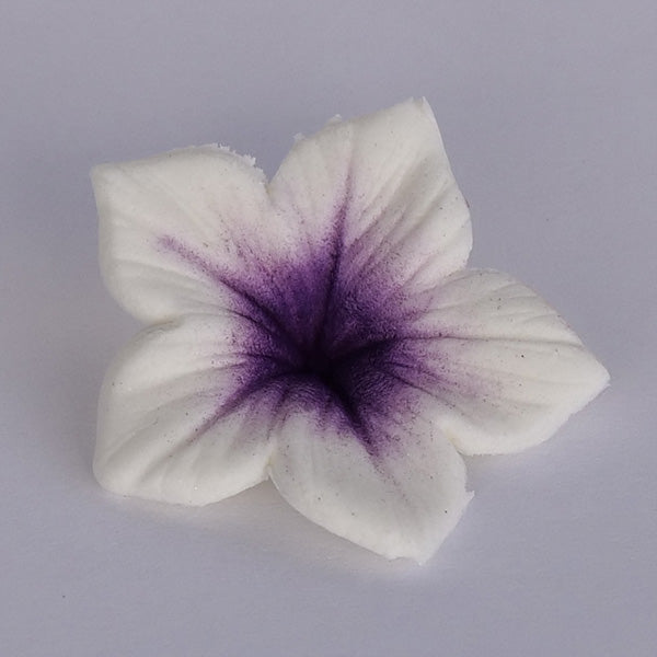 Colours Dust Violeta