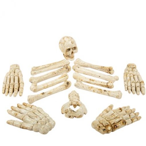 Sortido de Ossos Humanos Resina Branco Envelhecido 5,5 a 11cm