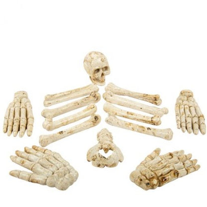 Sortido de Ossos Humanos Resina Branco Envelhecido 5,5 a 11cm