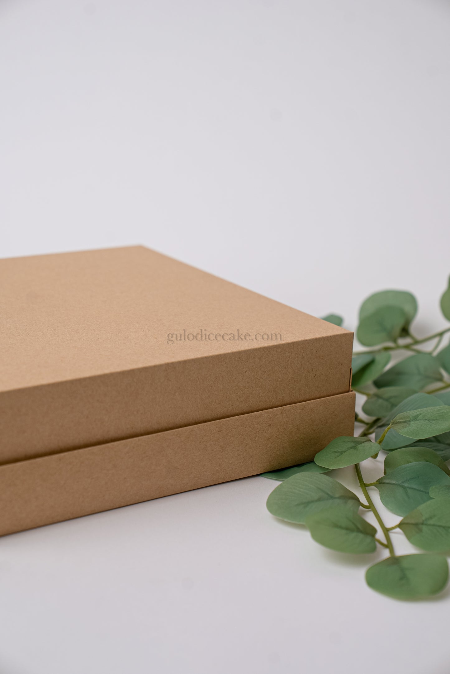Caixa 25x25x4 com Tampa Cartolina - Kraft