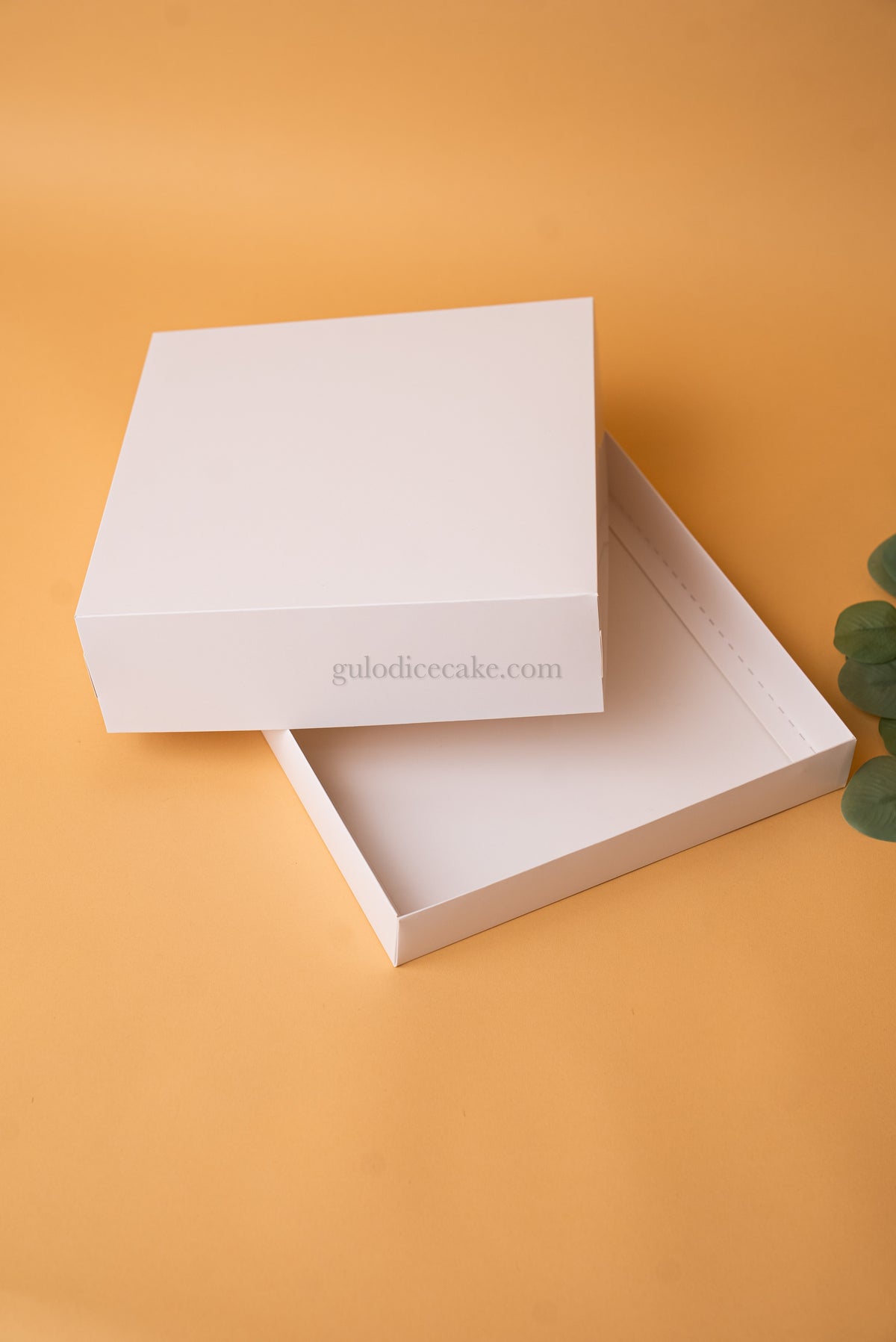 25x25x4 Box with Cardboard Lid - White