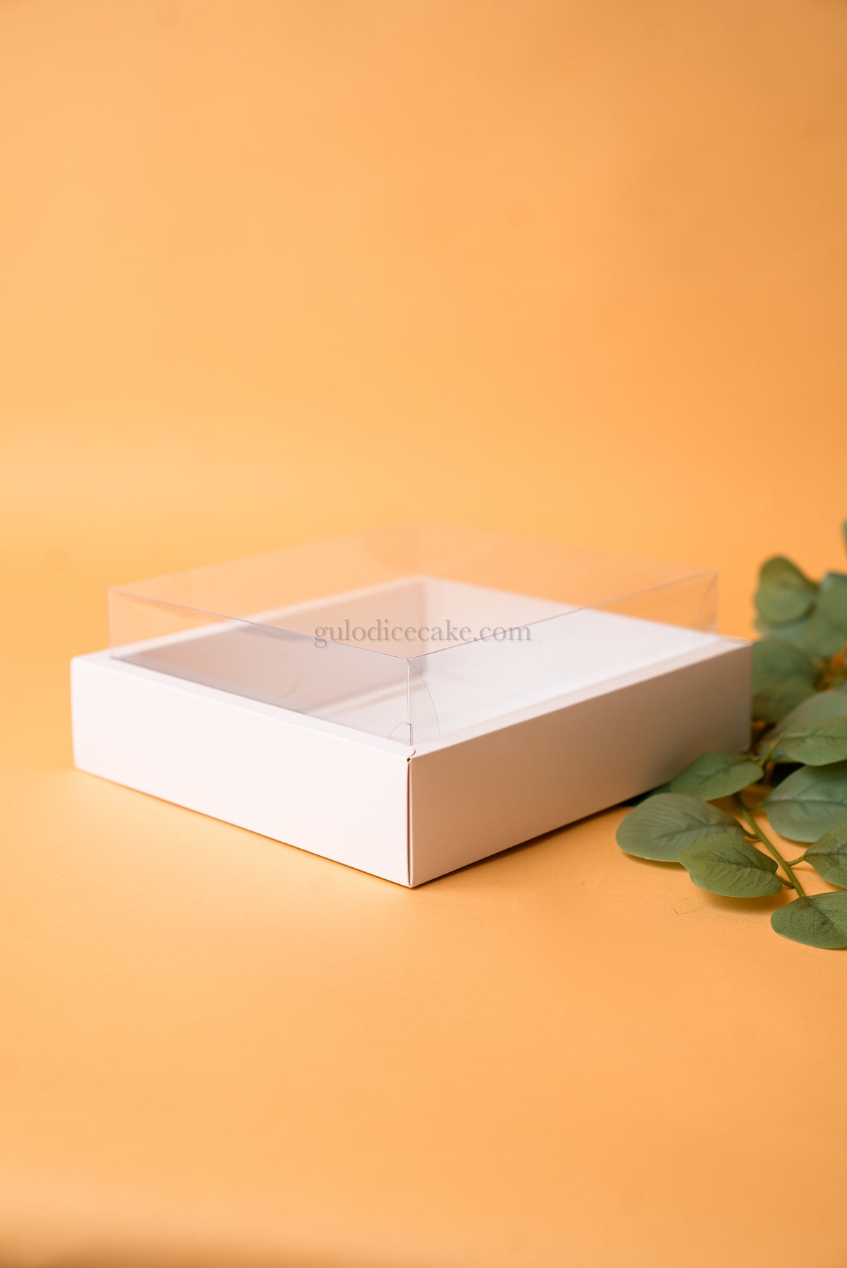 Box 20x18x5cm with High Lid PVC - White