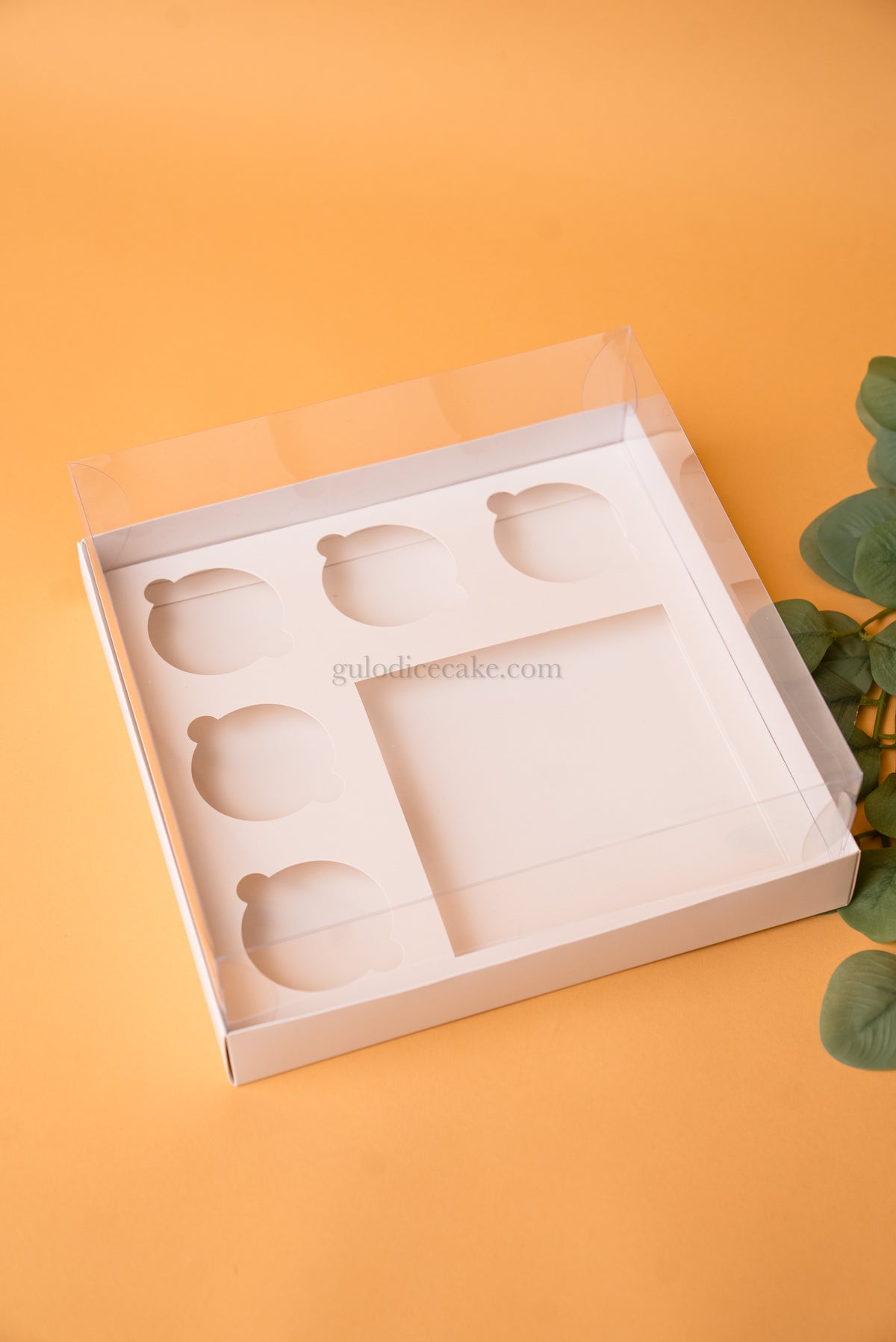 Cake Box + 5 Cupcakes with PVC Lid – White
