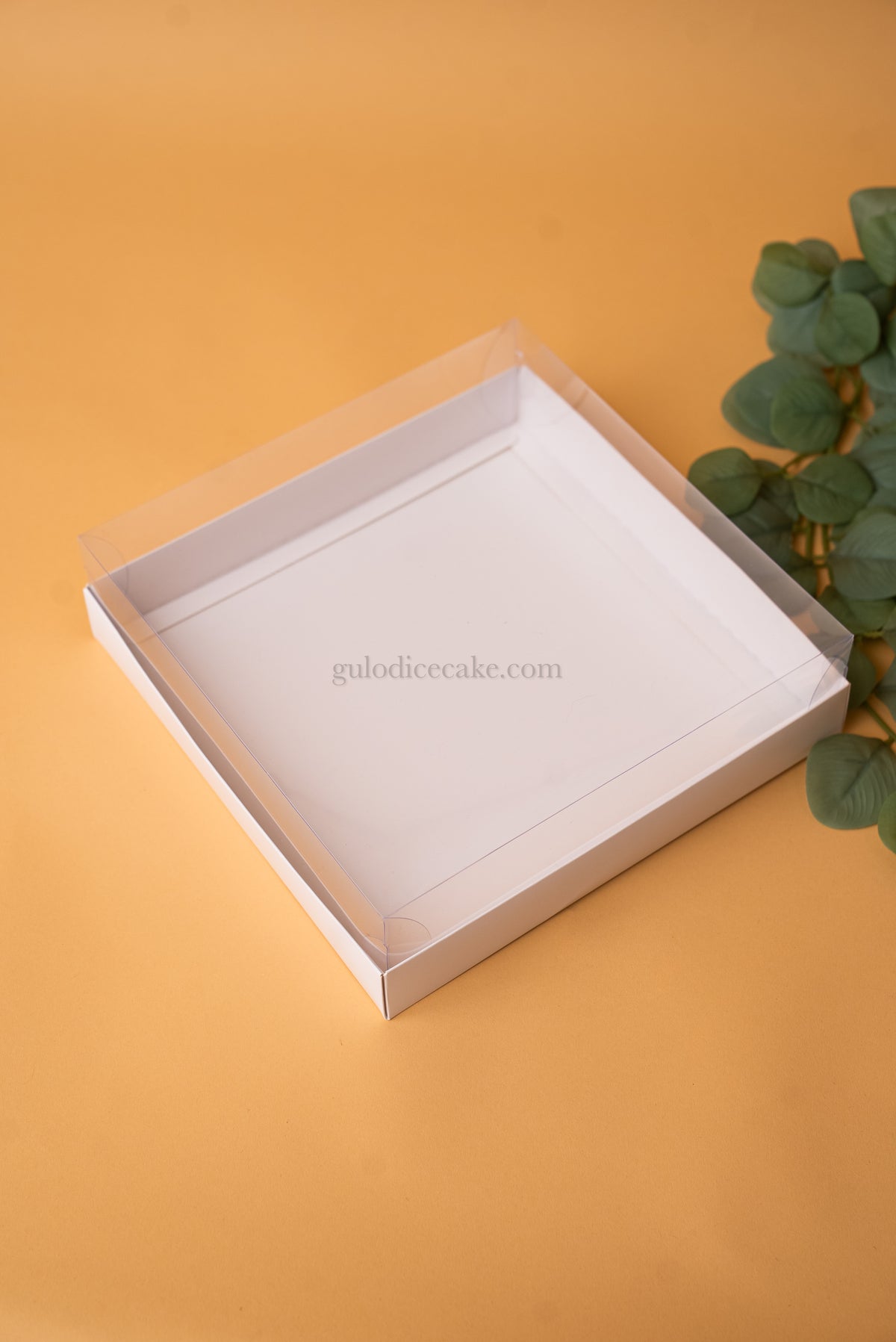 Box 25x25x4cm with PVC Lid - White